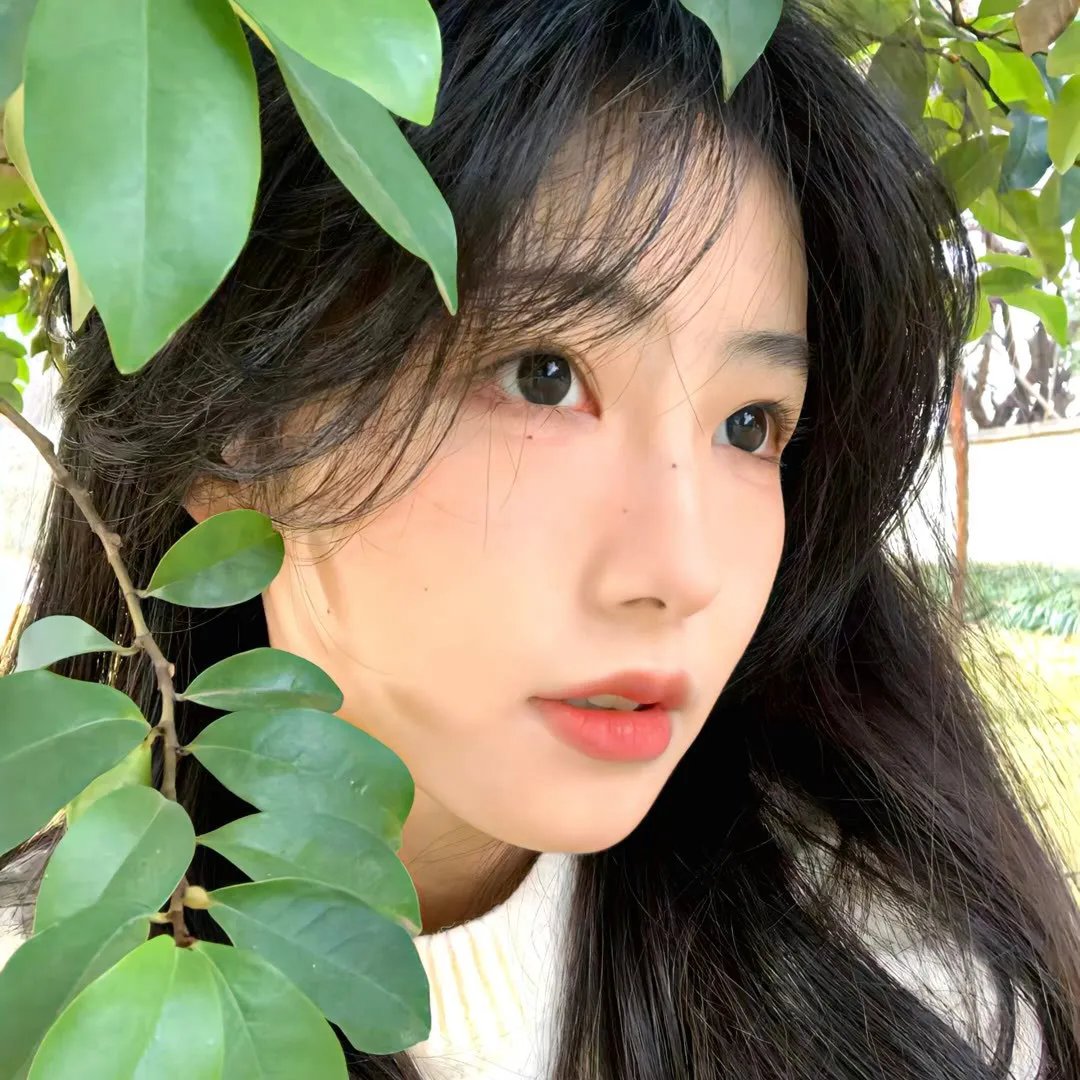 衣柜里的猫