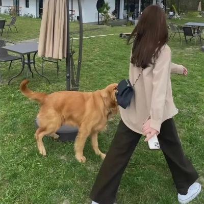虚拟的谎言