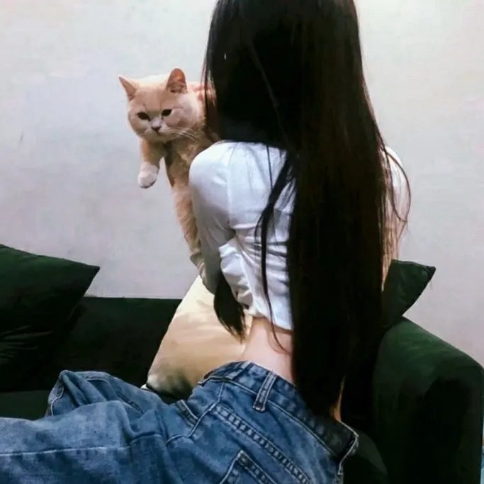 无法触碰的爱